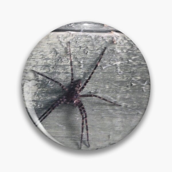 Item preview, Spider designed and sold by BooCarter.
