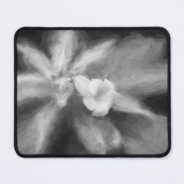 Item preview, Allamanda Plant Golden Trumpet Plant X101 designed and sold by RichFrancoCars.