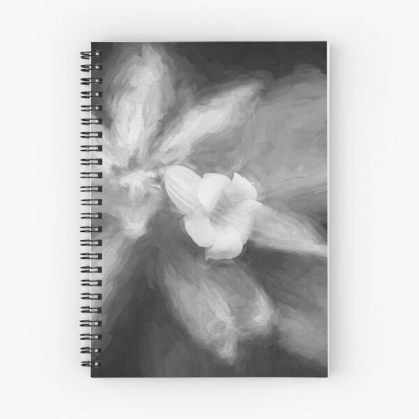 Item preview, Allamanda Plant Golden Trumpet Plant X101 designed and sold by RichFrancoCars.