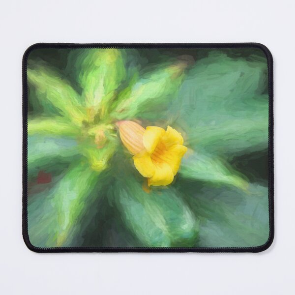 Item preview, Yellow Allamanda Plant Golden Trumpet Plant X102 designed and sold by RichFrancoCars.