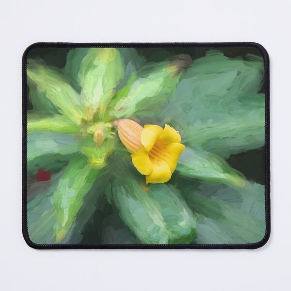 Item preview,  Yellow Allamanda Plant Golden Trumpet Plant X103 designed and sold by RichFrancoCars.