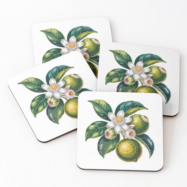 Item preview, Calamansi designed and sold by JessArty ⭐⭐⭐⭐⭐.