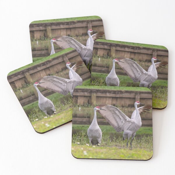 Item preview, Sandhill cranes forage peacefully along the edge of a beautiful pond in Tampa Bay, Florida designed and sold by EyezWatchin.