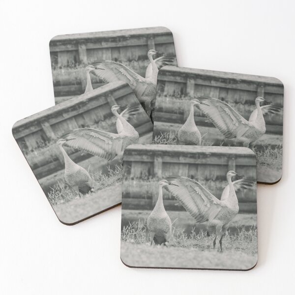 Item preview, Sandhill cranes forage peacefully along the edge of a beautiful pond in Tampa Bay, Florida, surrounded by calm waters and lush greenery designed and sold by EyezWatchin.