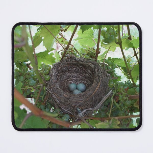 Item preview, Bird's Nest in Riesling Vines - Magpie Springs designed and sold by MagpieSprings.
