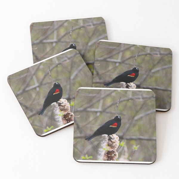 Item preview, Red winged blackbird designed and sold by MarkSmalley.