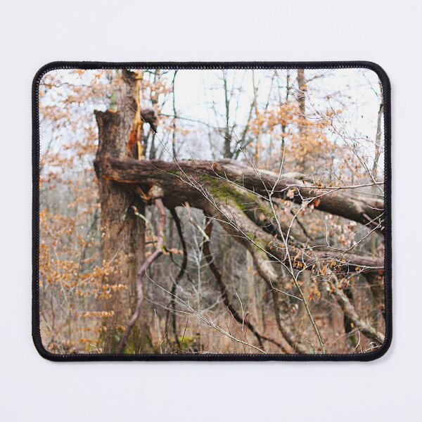 Item preview, Fallen tree in woods designed and sold by MarkSmalley.