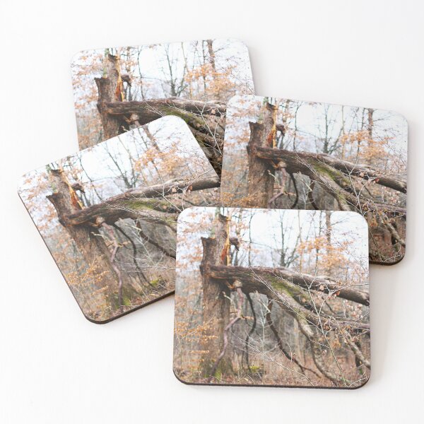 Item preview, Fallen tree in woods designed and sold by MarkSmalley.