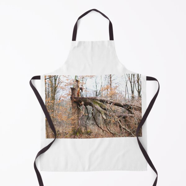 Item preview, Fallen tree in woods designed and sold by MarkSmalley.