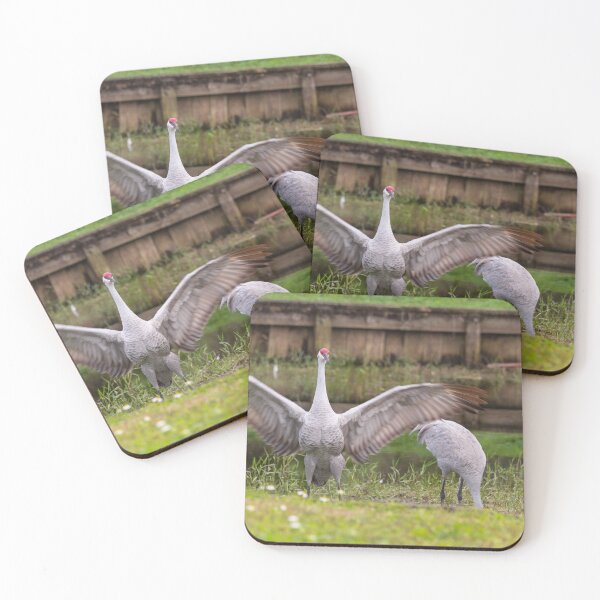 Item preview, Sandhill cranes forage peacefully along the edge of a beautiful pond in Tampa Bay, Florida designed and sold by EyezWatchin.