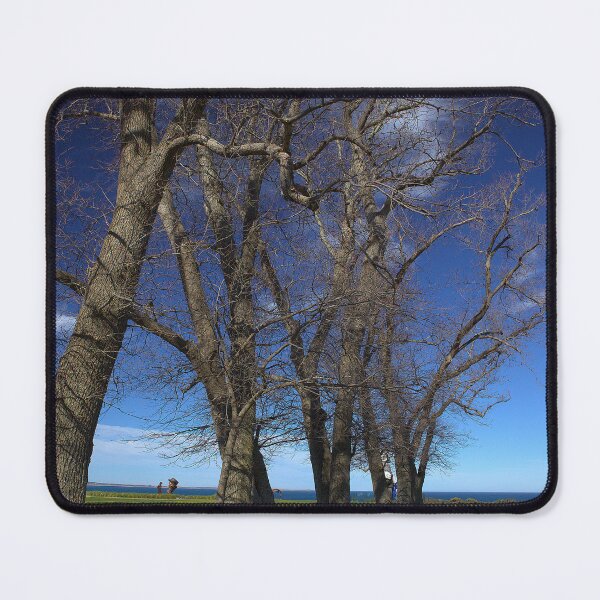 Item preview, Elm Trees Pt. Leo Estate designed and sold by archieswell.