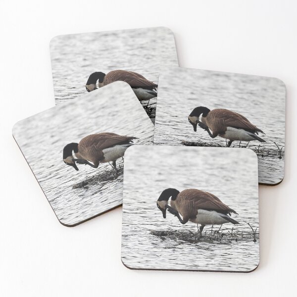 Item preview, Canadian Goose on an island designed and sold by MarkSmalley.