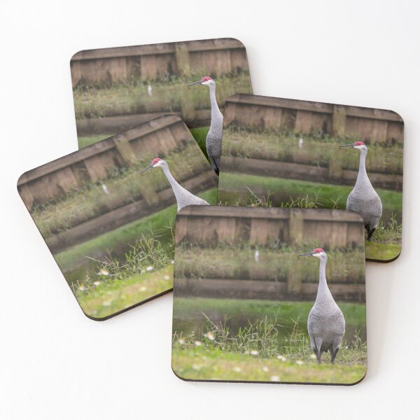 Item preview, A Sandhill cranes forage peacefully along the edge of a beautiful pond in Tampa Bay, Florida designed and sold by EyezWatchin.