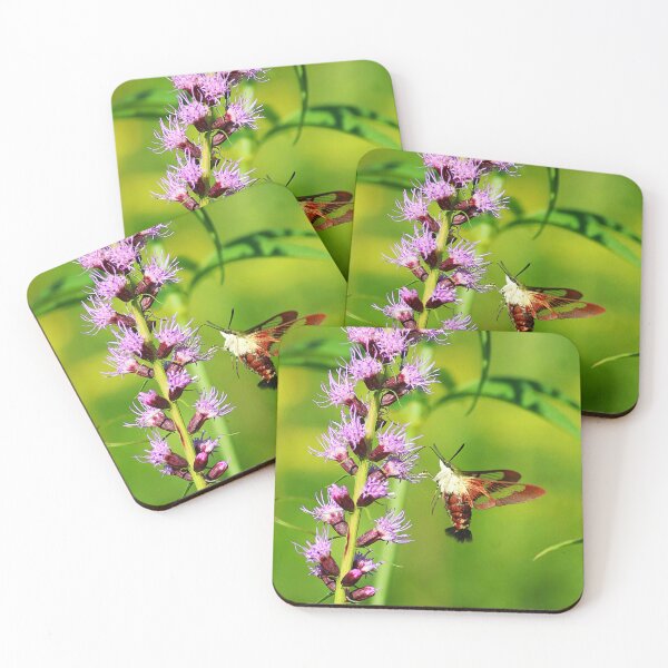 Item preview, Clearwing Hummingbird moth on a blazing star flower designed and sold by MarkSmalley.