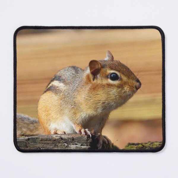 Item preview, Cute Chipmunk designed and sold by MarkSmalley.