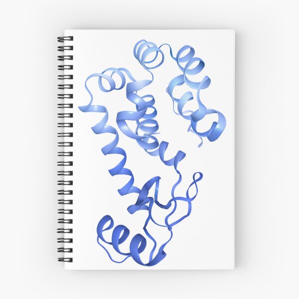 Item preview, Lysozyme protein structure designed and sold by Ameus.