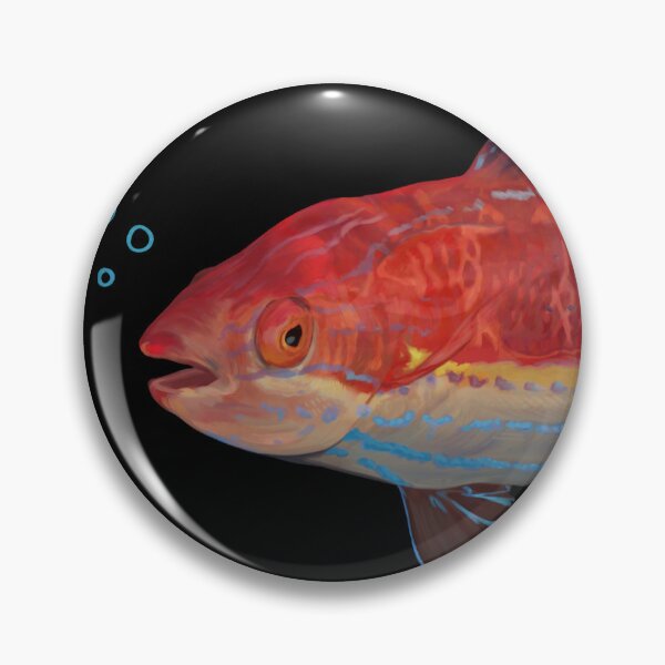 Item preview, fairy wrasse designed and sold by plebplush.