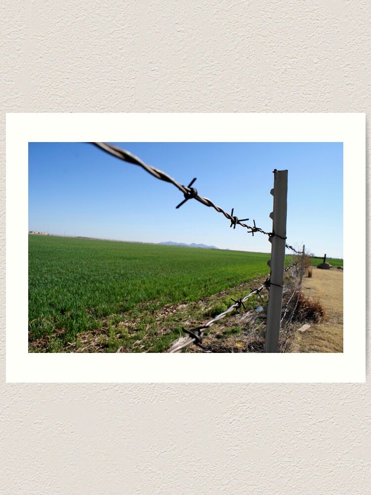 Thumbnail 1 von 3, Kunstdruck, Fenced In designt und verkauft von ChelseaSelf.