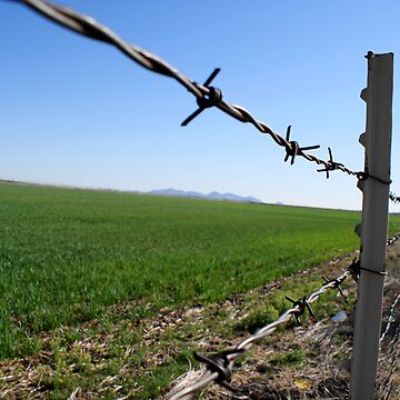 Artwork thumbnail, Fenced In by ChelseaSelf