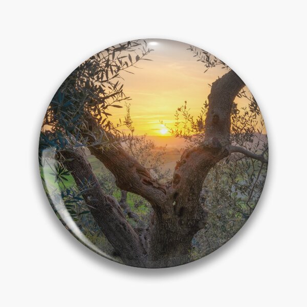 Item preview, Olive tree and and setting sun in Santa Luce, Tuscany, Italy designed and sold by Stefano Orazzini.