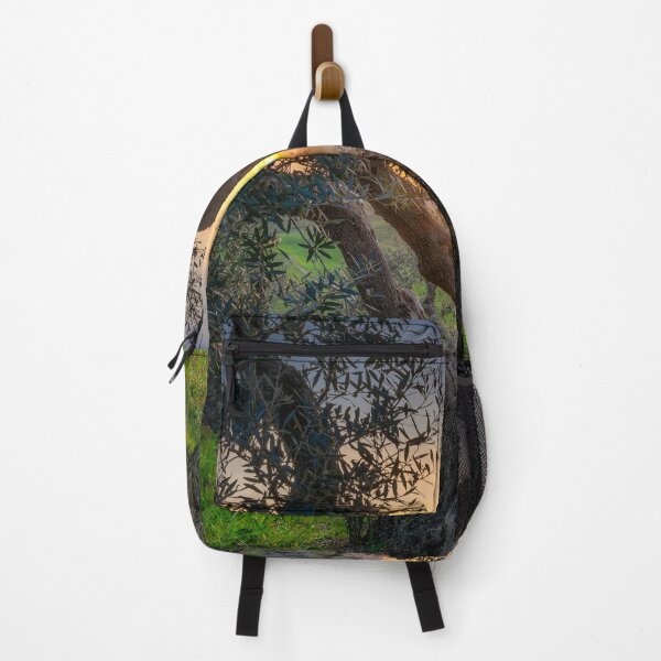 Item preview, Olive tree and and setting sun in Santa Luce, Tuscany, Italy designed and sold by Stefano Orazzini.