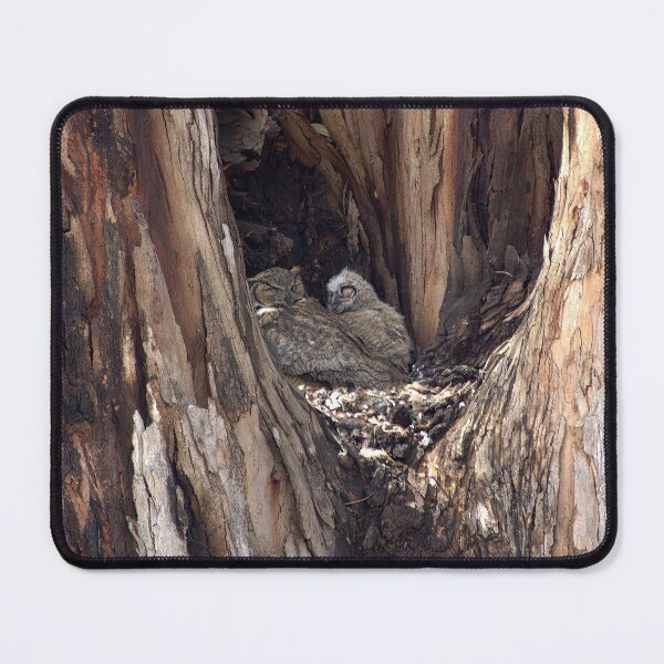 Item preview, Olivia and Her Owlet in the Hollow designed and sold by Armadillo222.