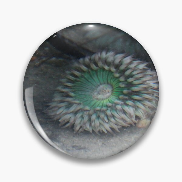 Item preview, Under the Sea designed and sold by heatherfriedman.