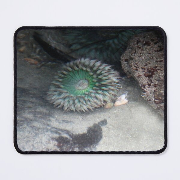 Item preview, Under the Sea designed and sold by heatherfriedman.