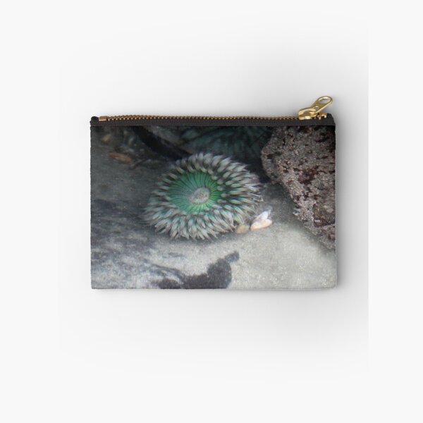 Item preview, Under the Sea designed and sold by heatherfriedman.