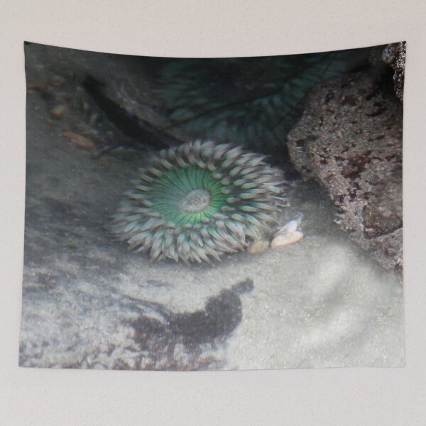 Item preview, Under the Sea designed and sold by heatherfriedman.