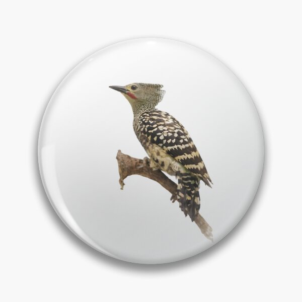 Item preview, Buff-rumped Woodpecker (Meiglyptes grammithorax) designed and sold by HOMETOWN86.
