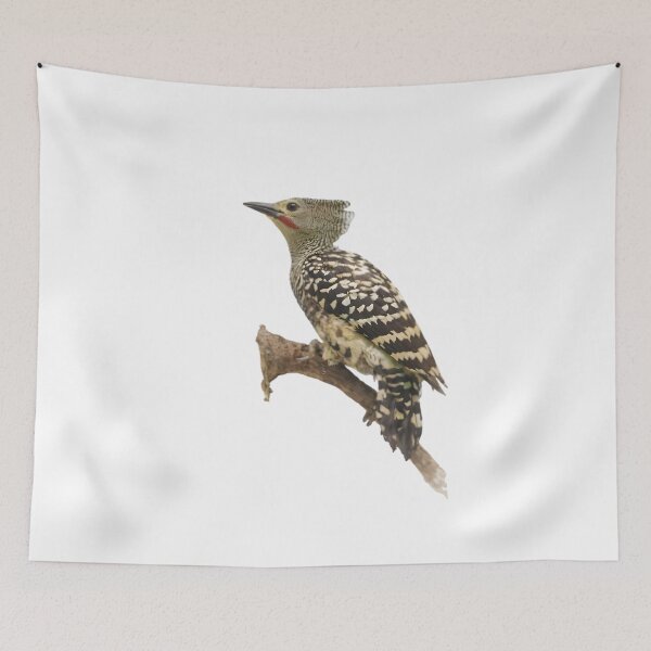 Item preview, Buff-rumped Woodpecker (Meiglyptes grammithorax) designed and sold by HOMETOWN86.