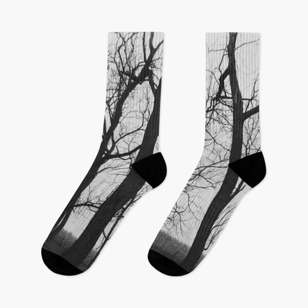 Item preview, Black Bosk VI - Melancholy Forest Photograph designed and sold by Irene Estelle.