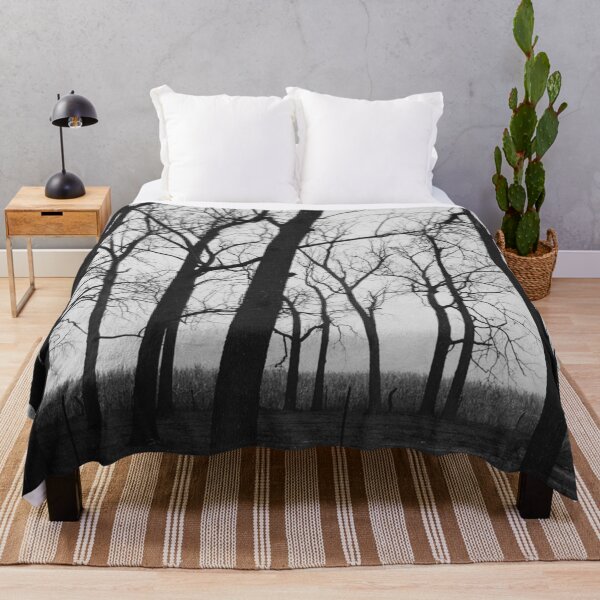 Item preview, Black Bosk VI - Melancholy Forest Photograph designed and sold by Irene Estelle.