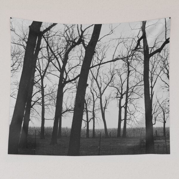 Item preview, Black Bosk VI - Melancholy Forest Photograph designed and sold by Irene Estelle.