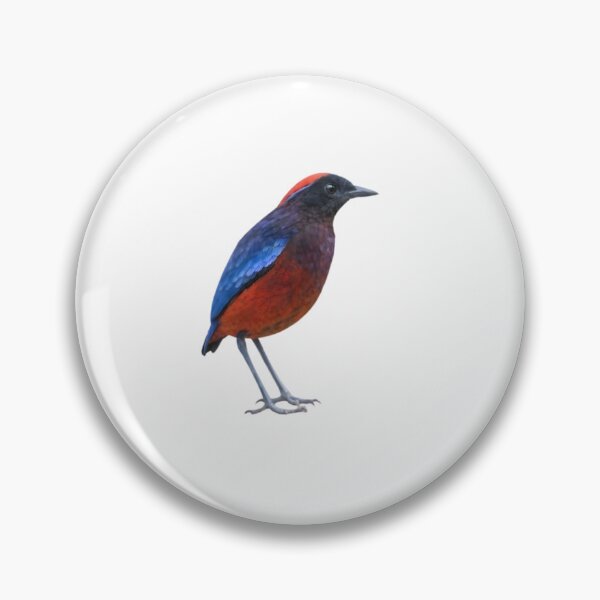 Item preview, Garnet Pitta (Erythropitta granatina) designed and sold by HOMETOWN86.