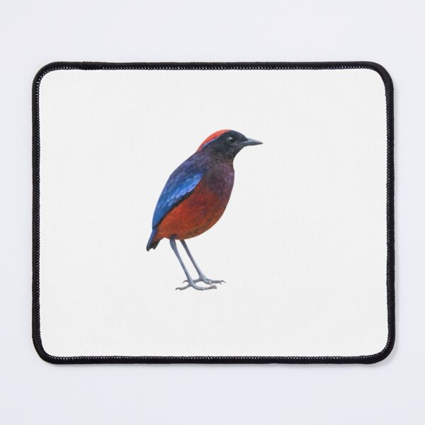 Item preview, Garnet Pitta (Erythropitta granatina) designed and sold by HOMETOWN86.