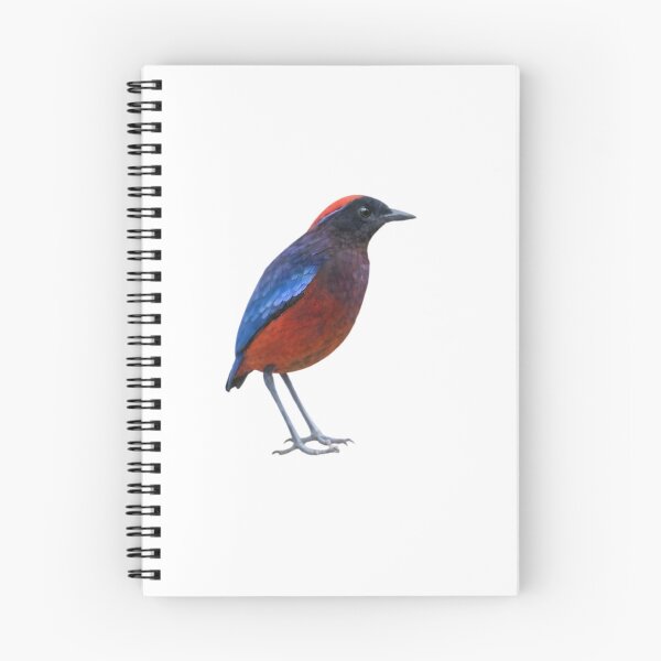 Item preview, Garnet Pitta (Erythropitta granatina) designed and sold by HOMETOWN86.