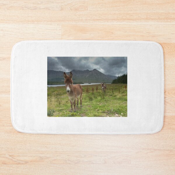 Item preview, Connemara Donkeys designed and sold by Solas Photo Co..