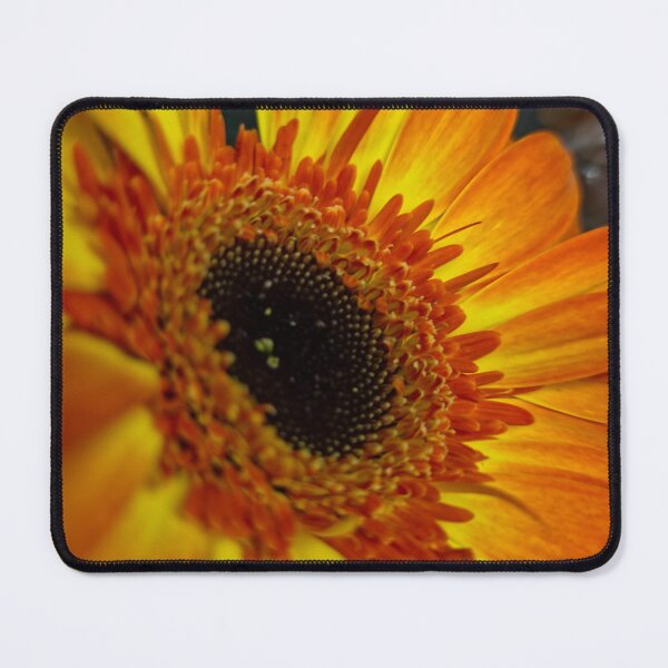 Item preview, Fiery Gerbera Daisy designed and sold by Betsy Phillips.