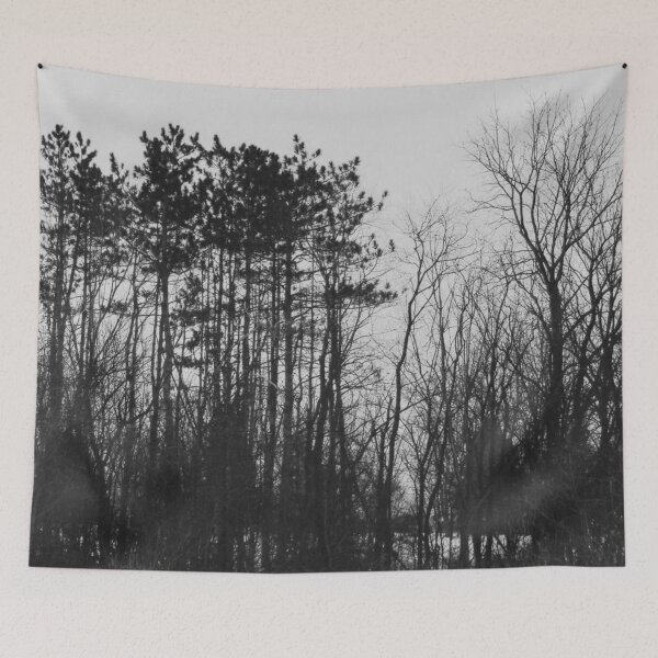Item preview, Black Bosk VIII - Melancholy Tree Photograph designed and sold by Irene Estelle.