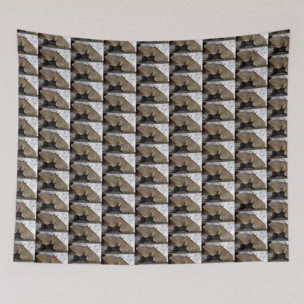 Item preview, Freshly Emerged Helena Gum Moth - Magpie Springs designed and sold by MagpieSprings.
