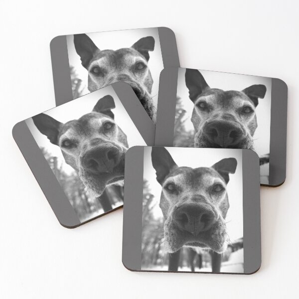 Item preview, Bear designed and sold by Solas Photo Co..
