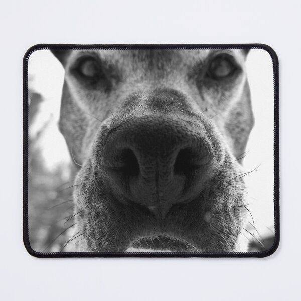 Item preview, Bear designed and sold by Solas Photo Co..