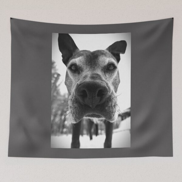 Item preview, Bear designed and sold by Solas Photo Co..