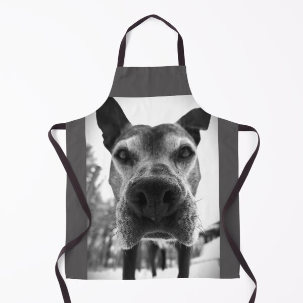 Item preview, Bear designed and sold by Solas Photo Co..