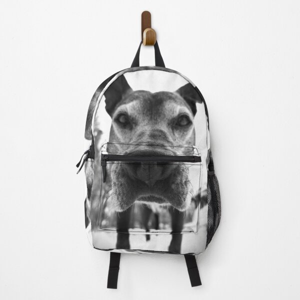 Item preview, Bear designed and sold by Solas Photo Co..
