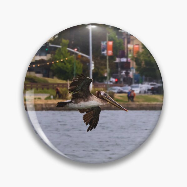 Item preview, Pelican Gliding Over Waterway designed and sold by Phakade's Photos.