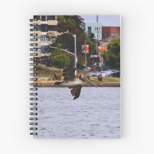 Item preview, Pelican Gliding Over Waterway designed and sold by Phakade's Photos.
