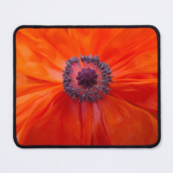 Item preview, Flamin stamen designed and sold by Solas Photo Co..